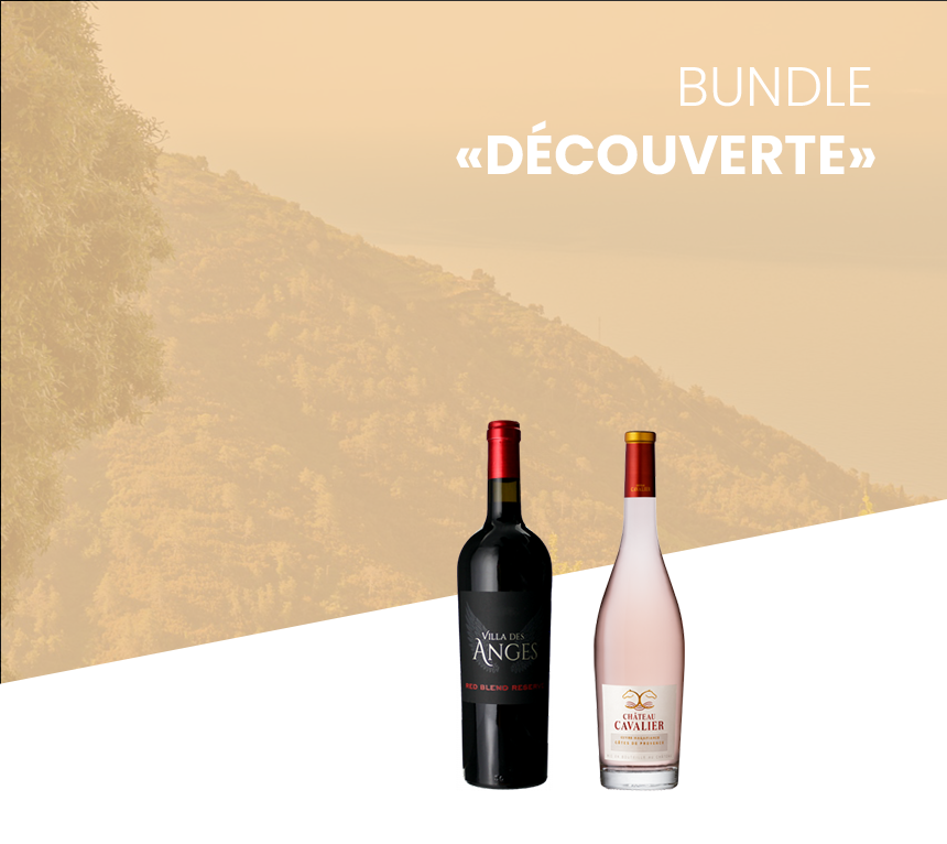 Bundle - Découverte