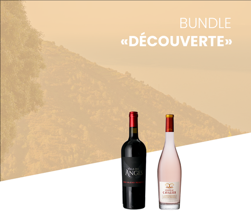 Bundle - Découverte